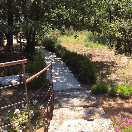 Villa Le Bois De La Cour Roussillon en Isere Exterior foto
